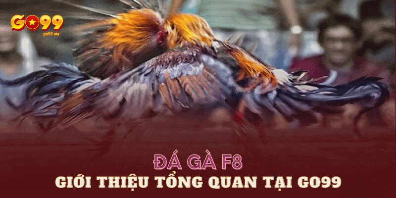 đá gà f88 tại Go99