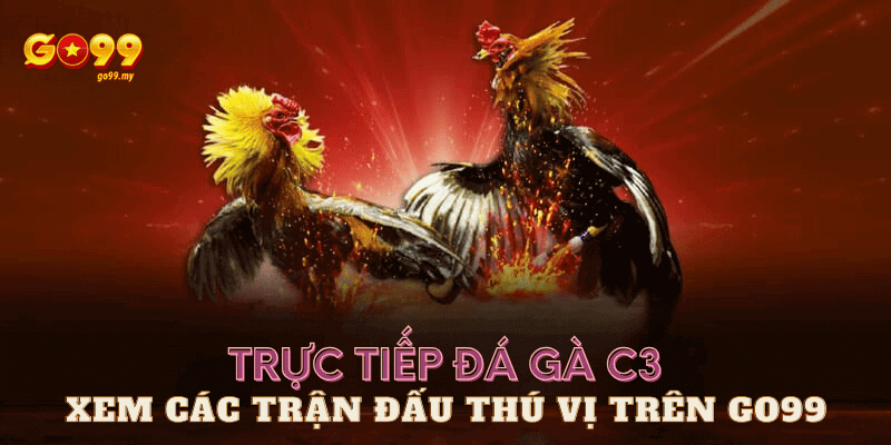 Trực tiếp đá gà c3 tại Go99